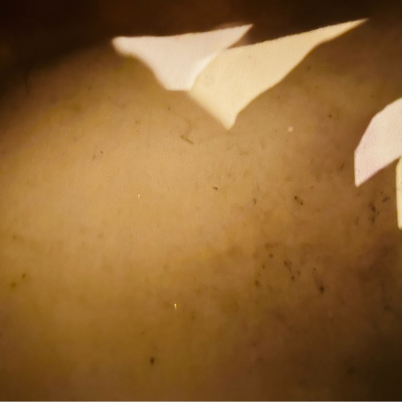 Louis Vuitton Speedy 35 Damier Azur - Picture 12 of 16